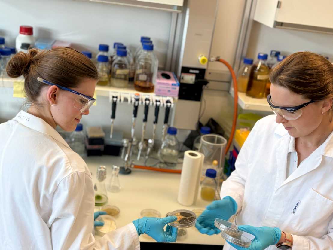 Image of the PI and first PhD student working in the lab with petri dishes