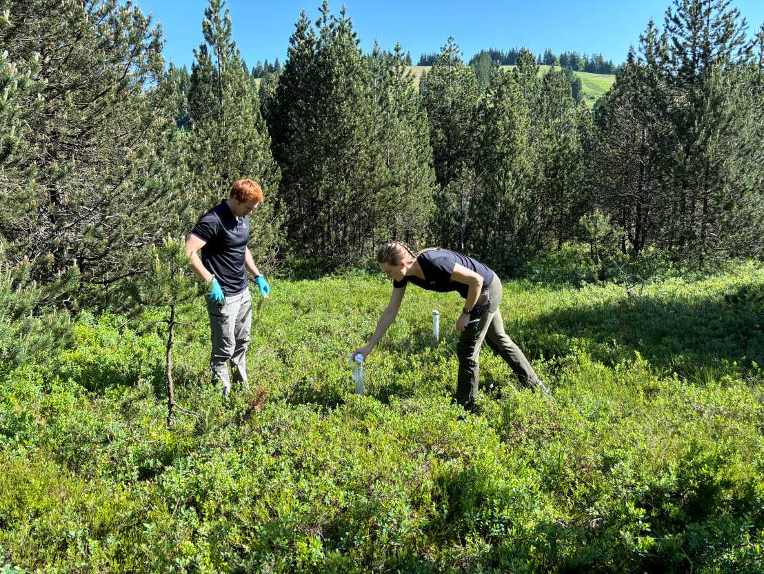 Group members collecting samples