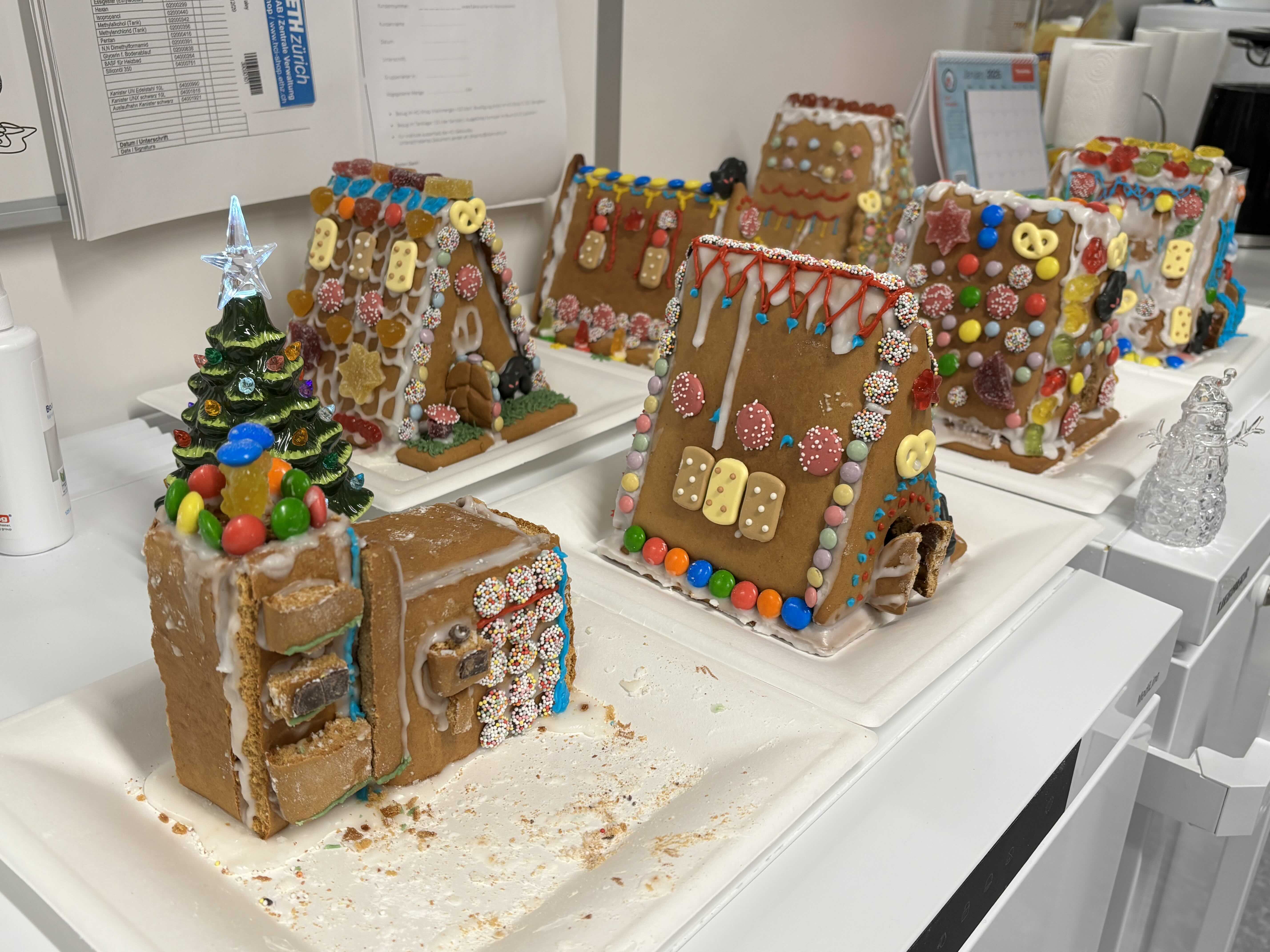 gingerbread houses and mass spectrometer made of cookie material